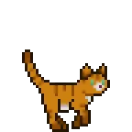 Darwin Running